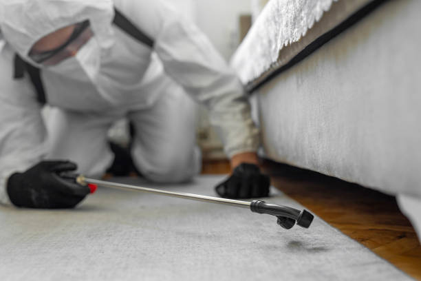 Professional Termite Control technician working in Runnemede, NJ