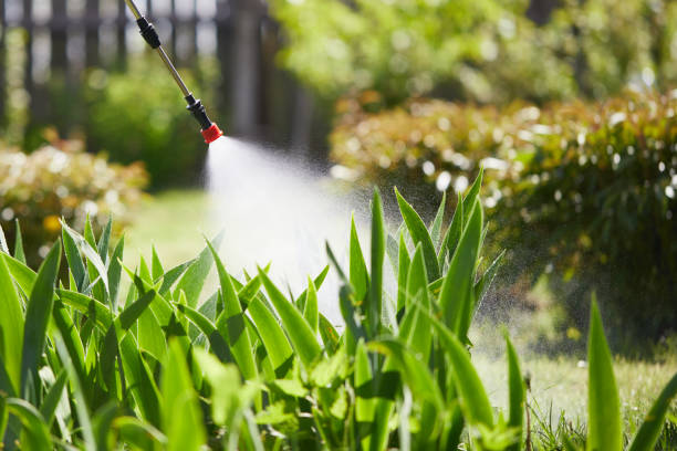 24/7 Emergency Termite Control experts in Runnemede, NJ